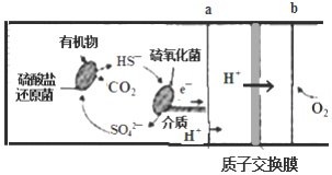 作业帮