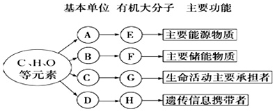 作业帮