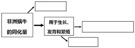 作业帮