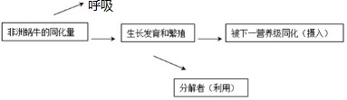 作业帮