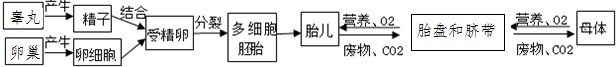 作业帮