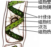 作业帮