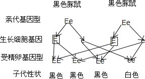 作业帮