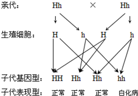 作业帮