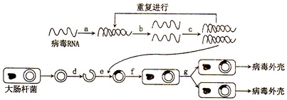 作业帮