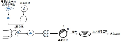 作业帮