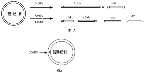 作业帮