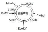 作业帮