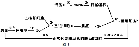 作业帮