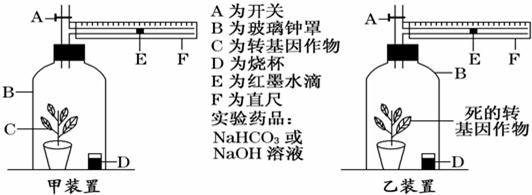 作业帮