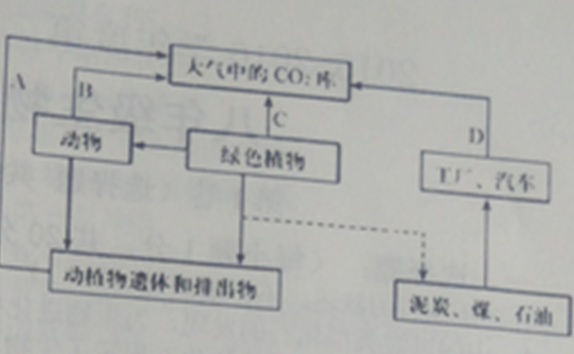 作业帮