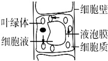 作业帮