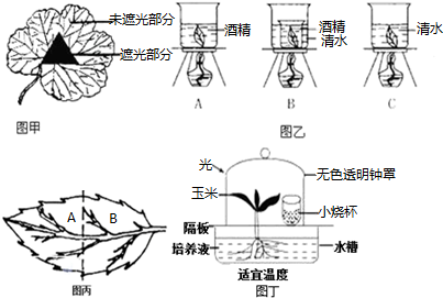 作业帮