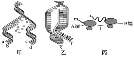 作业帮