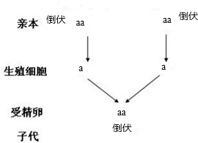 作业帮