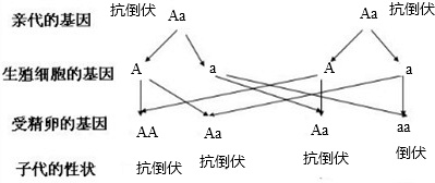 作业帮