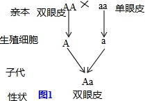 作业帮