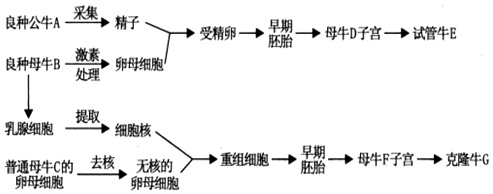 作业帮