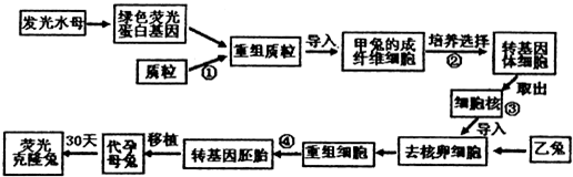 作业帮