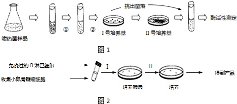 作业帮