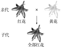 作业帮