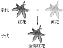 作业帮