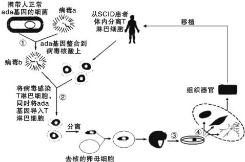 作业帮