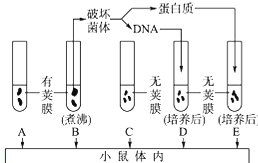 作业帮