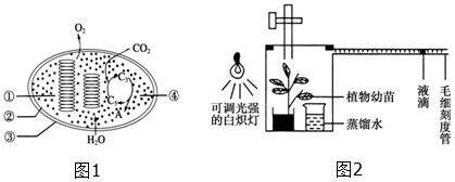 作业帮