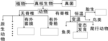 作业帮