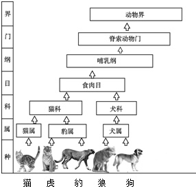 作业帮