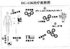 作业帮