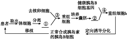 作业帮