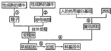 作业帮