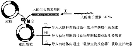 作业帮