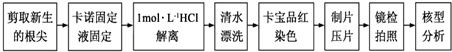 作业帮