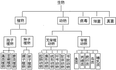 作业帮