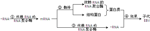 作业帮