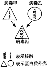 作业帮