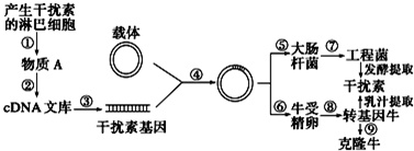 作业帮