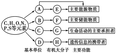 作业帮