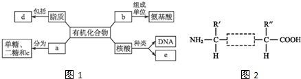 作业帮