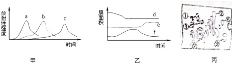 作业帮