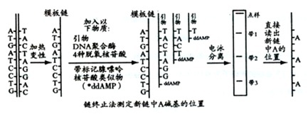 作业帮