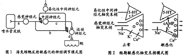 作业帮