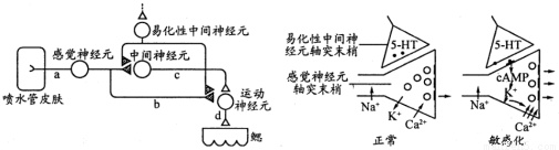 作业帮