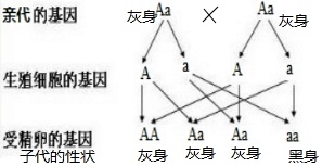 作业帮