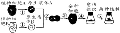 作业帮