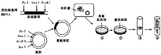 作业帮