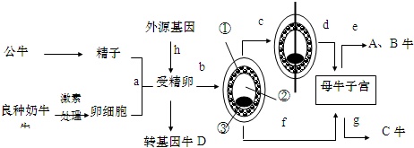 作业帮